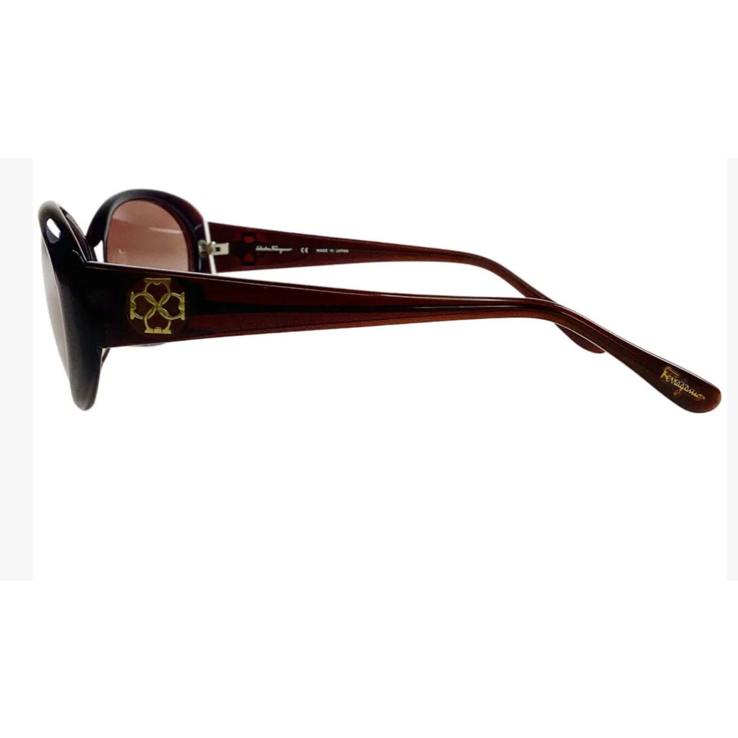 Salvatore Ferragamo Sunglasses