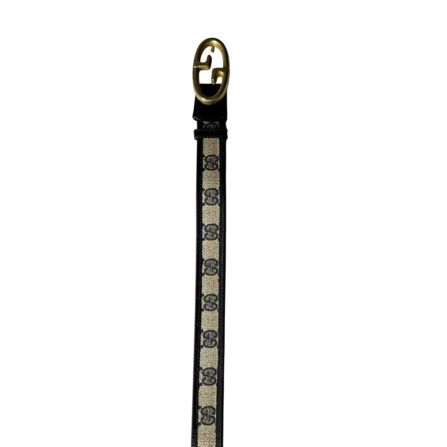 Dog leash with Gucci logo on a white background