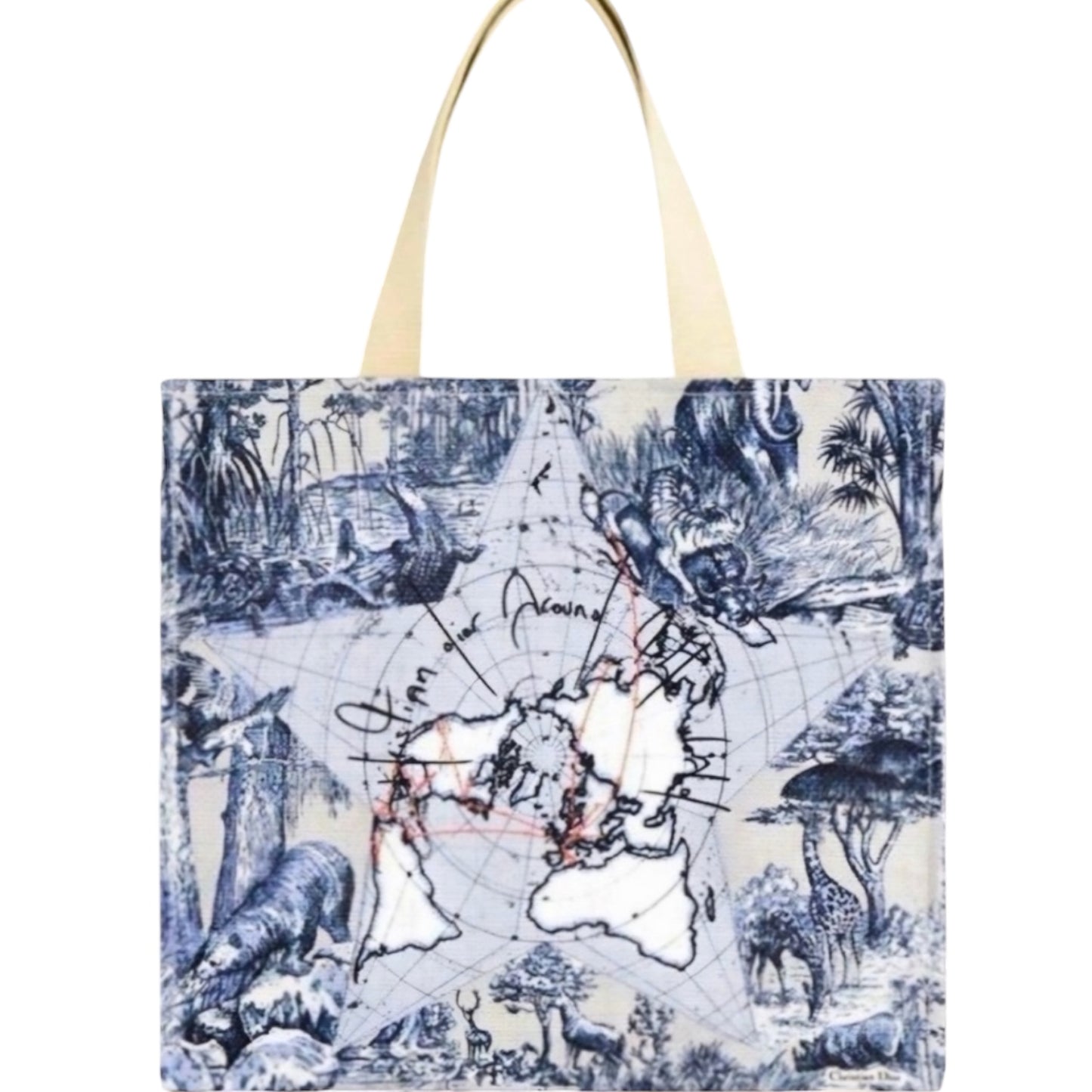 Christian Dior Designer Totes – Limited Edition Collection (GWP Edition)