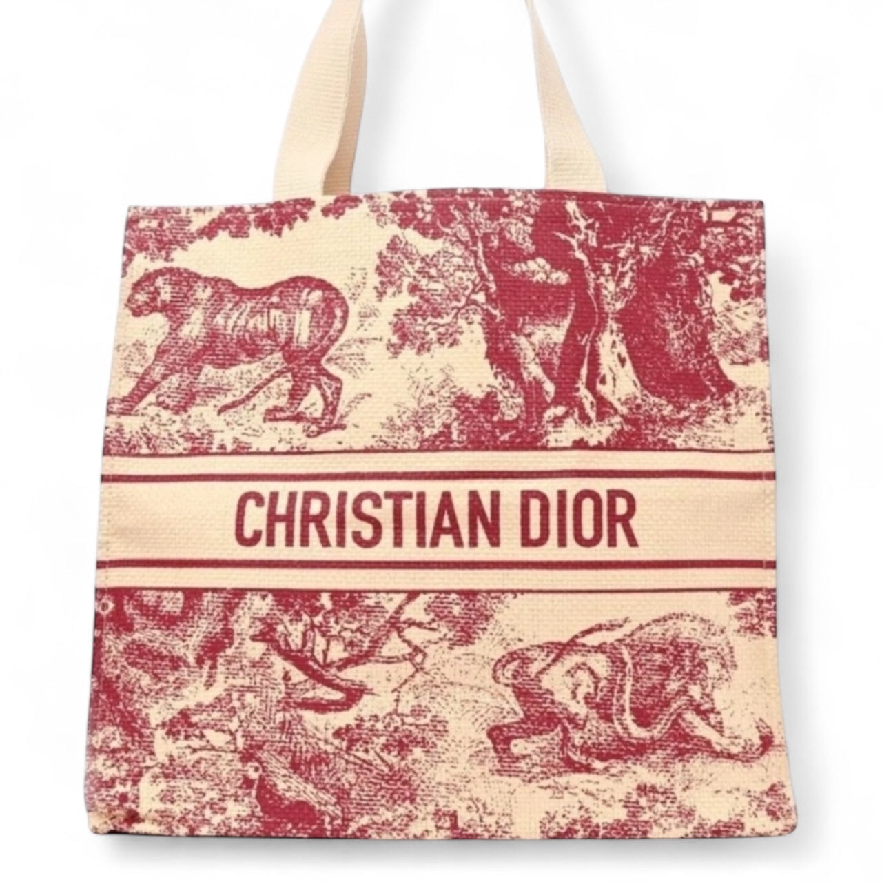 Christian Dior Designer Totes – Limited Edition Collection (GWP Edition)