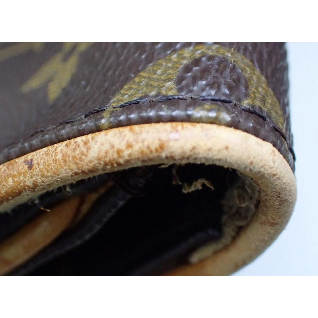 Louis Vuitton Monogram Bag