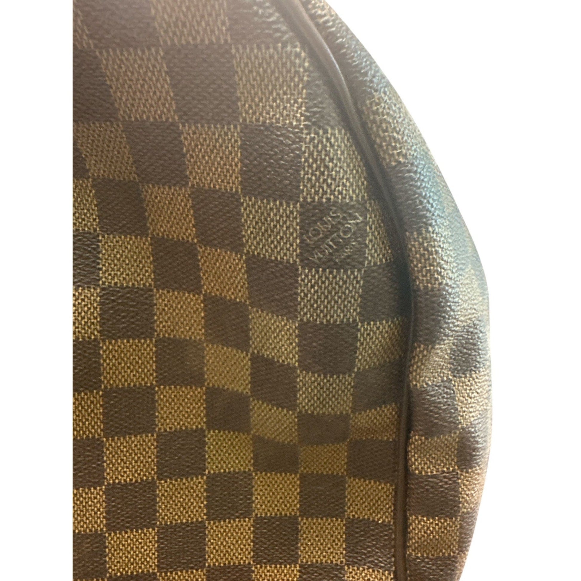 Close-up of a checkered handbag with a visible brand logo on a white background