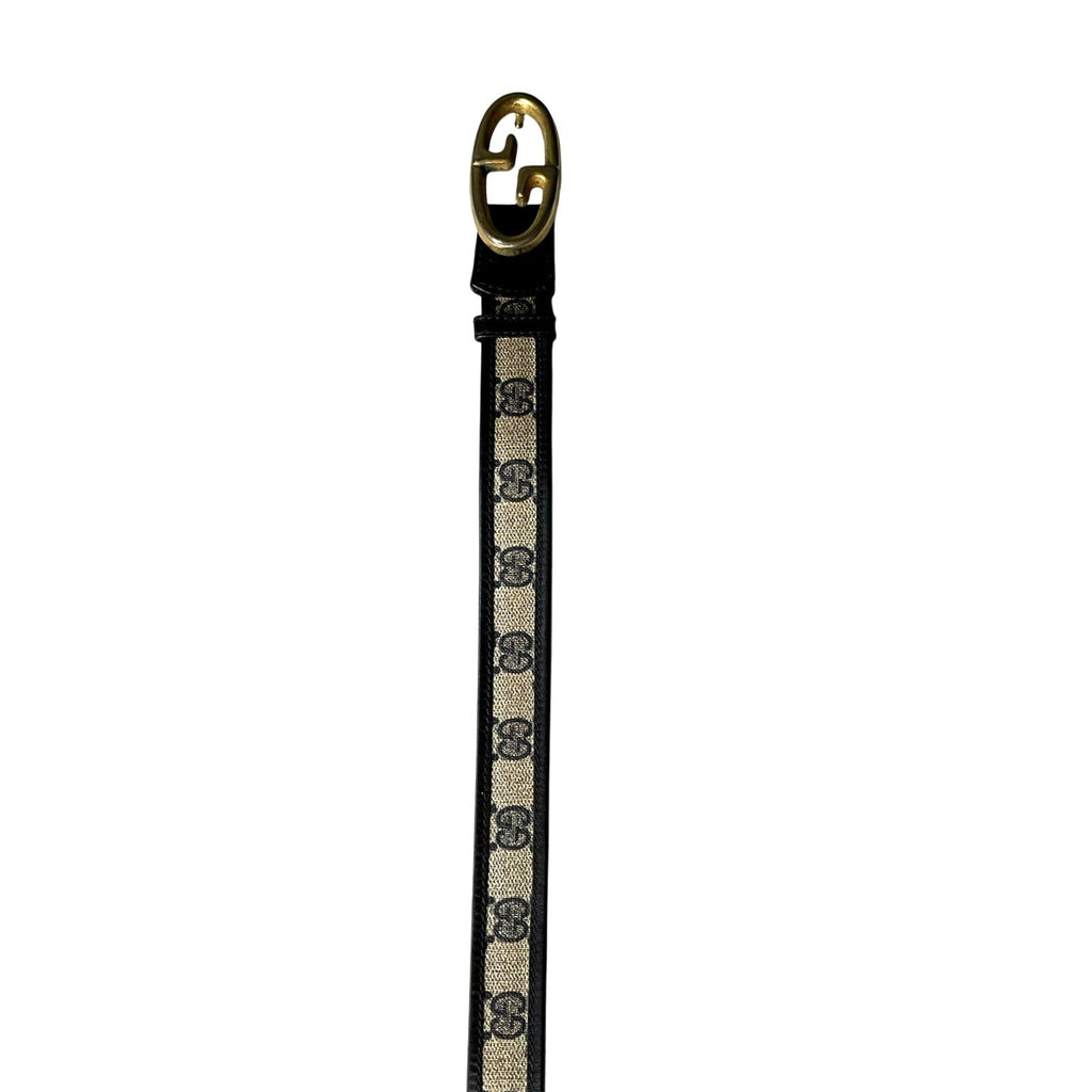 Dog leash with Gucci logo on a white background