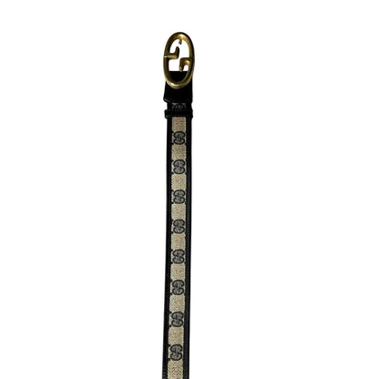 Dog leash with Gucci logo on a white background