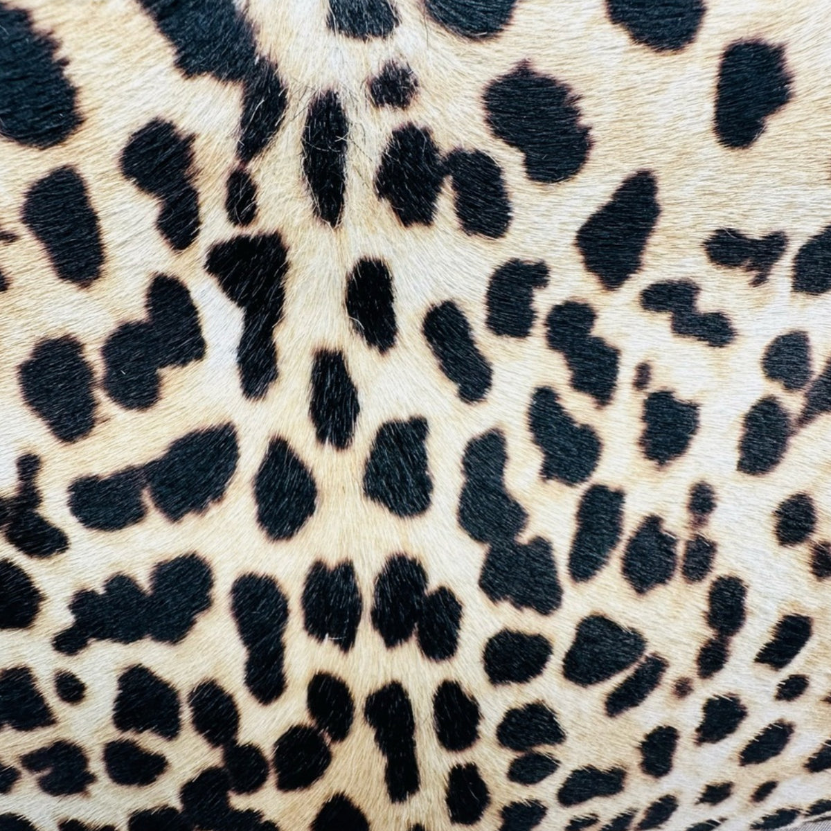 Authentic Gucci Nymphaea Leopard Calf Hair
Bag w/Bamboo Pearl Handles - Clairely Amazing