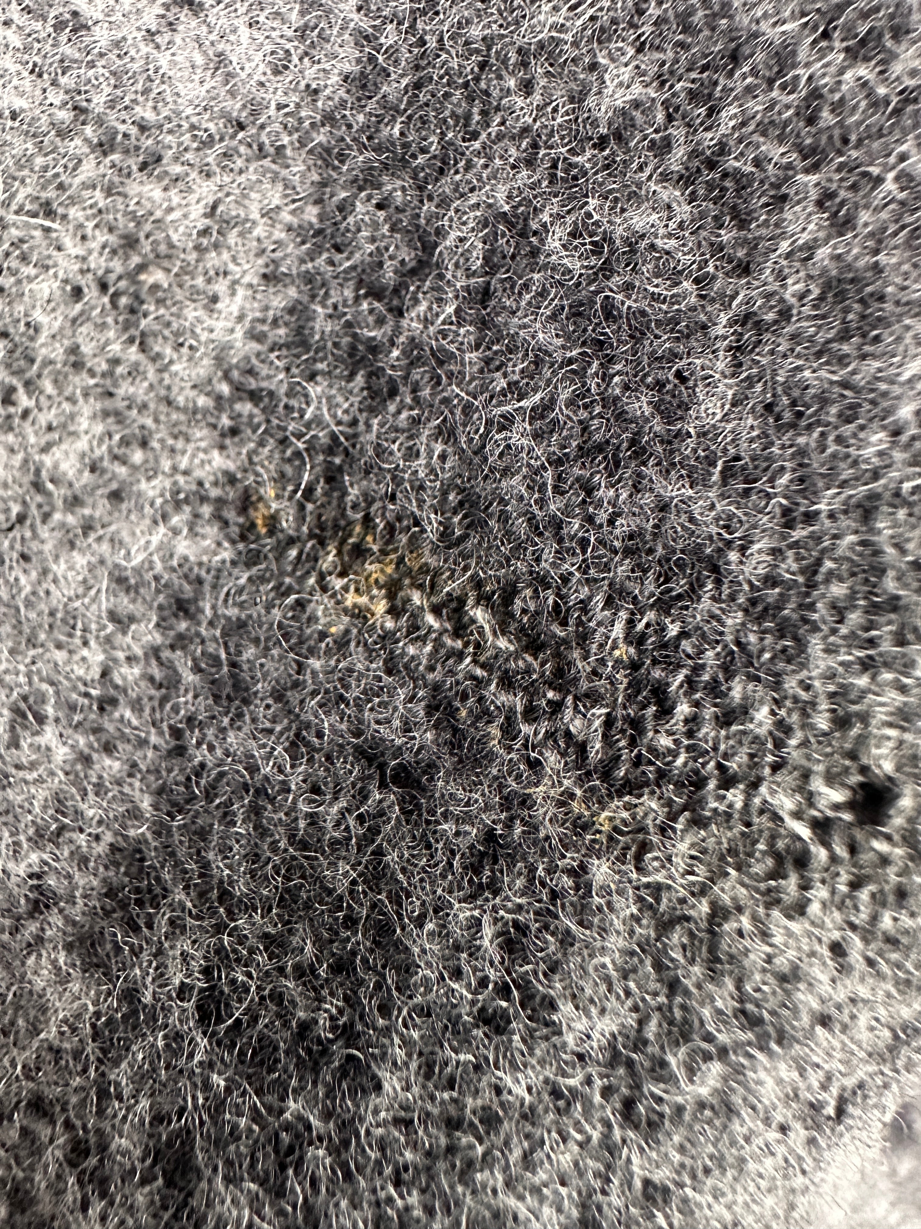Fendi Gray Wool Scarf
