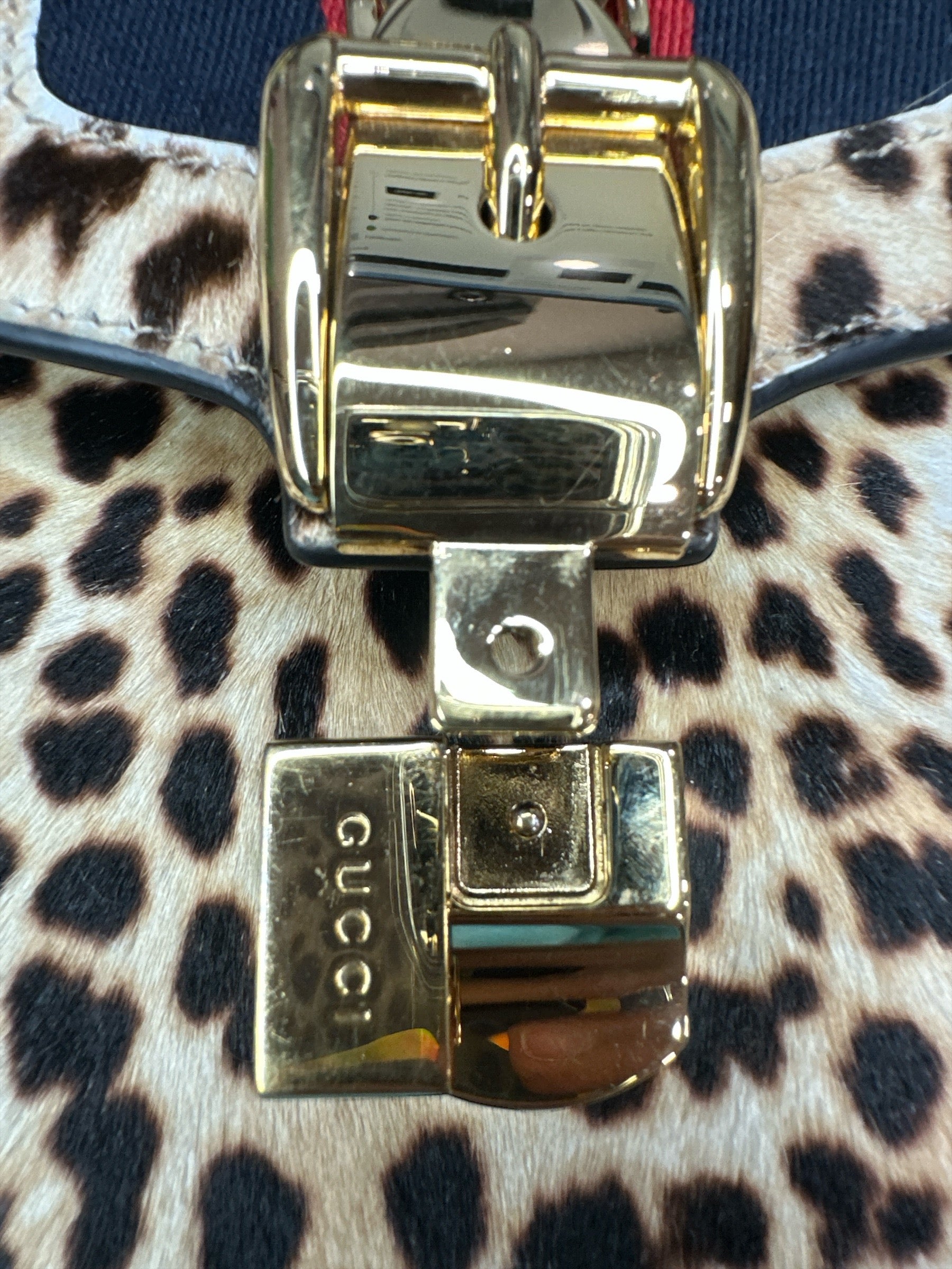 Gucci - Clairely Amazing