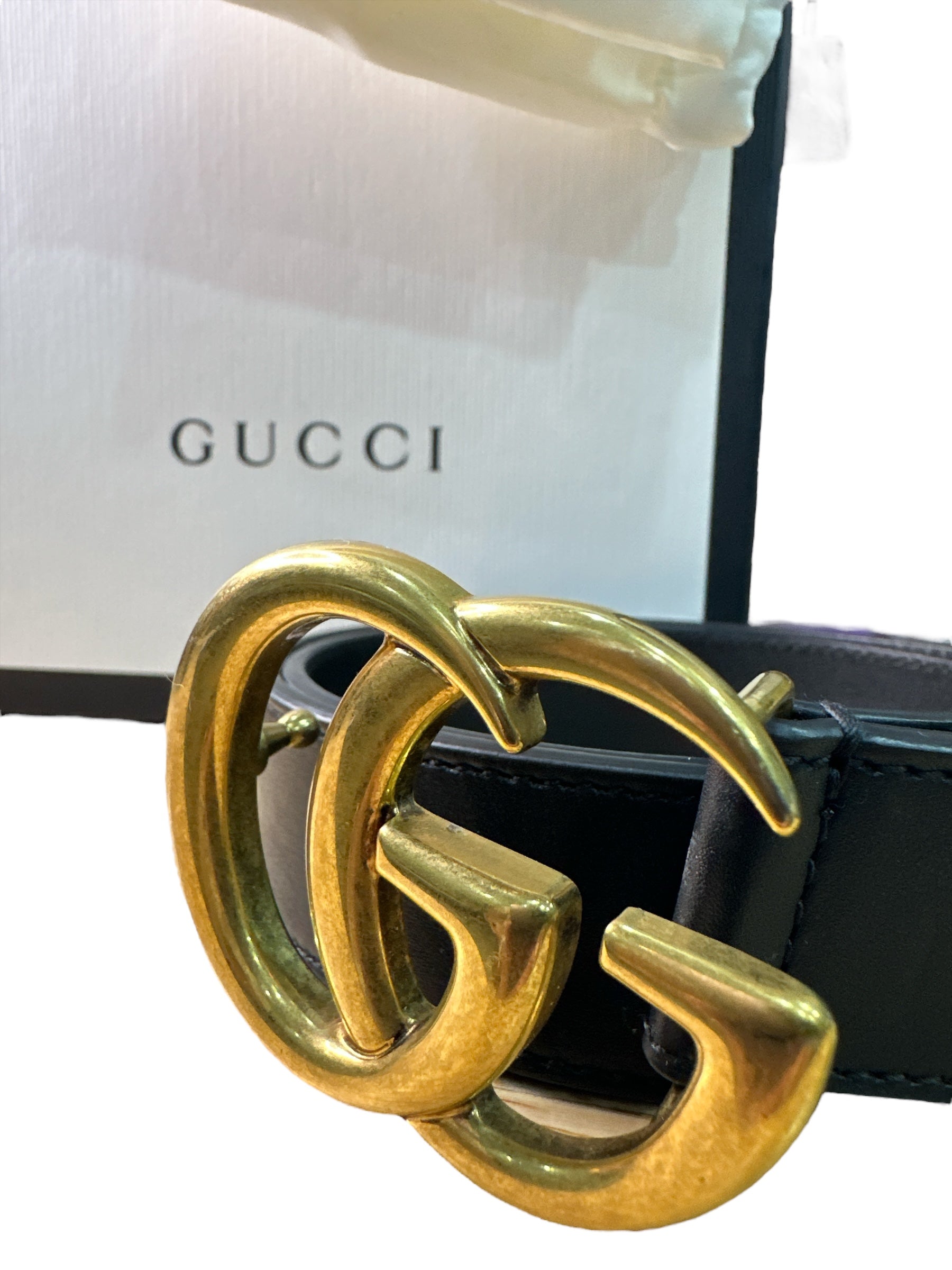 GG Marmot Black Belt - Clairely Amazing