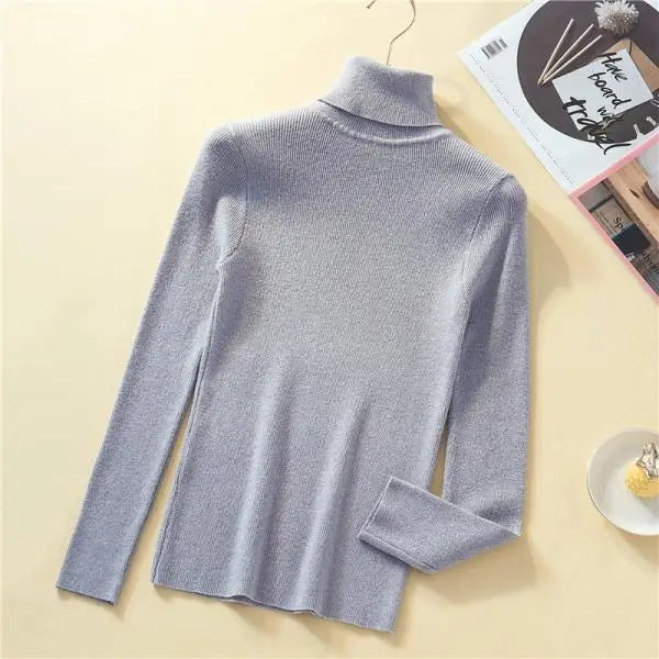 Slim Turtleneck Knit Pullover