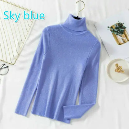 Slim Turtleneck Knit Pullover