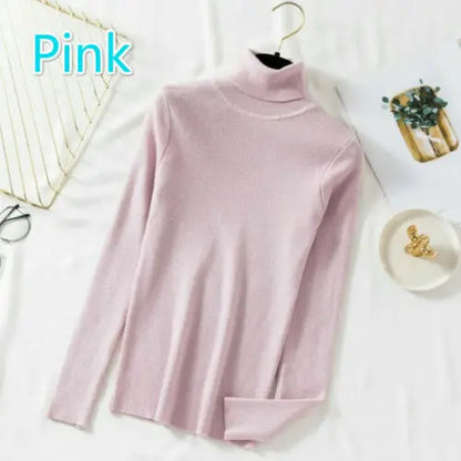 Slim Turtleneck Knit Pullover