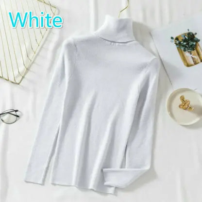 Slim Turtleneck Knit Pullover