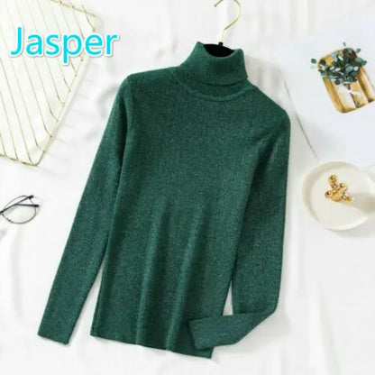 Slim Turtleneck Knit Pullover