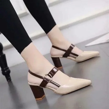 Pointed Toe Pumps