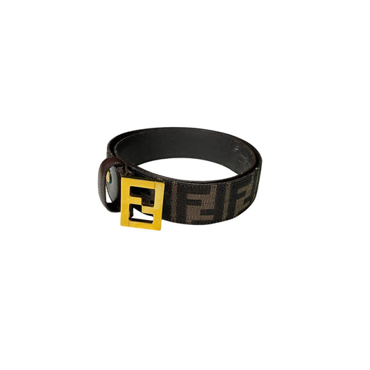 Black belt with gold buckle on a white background